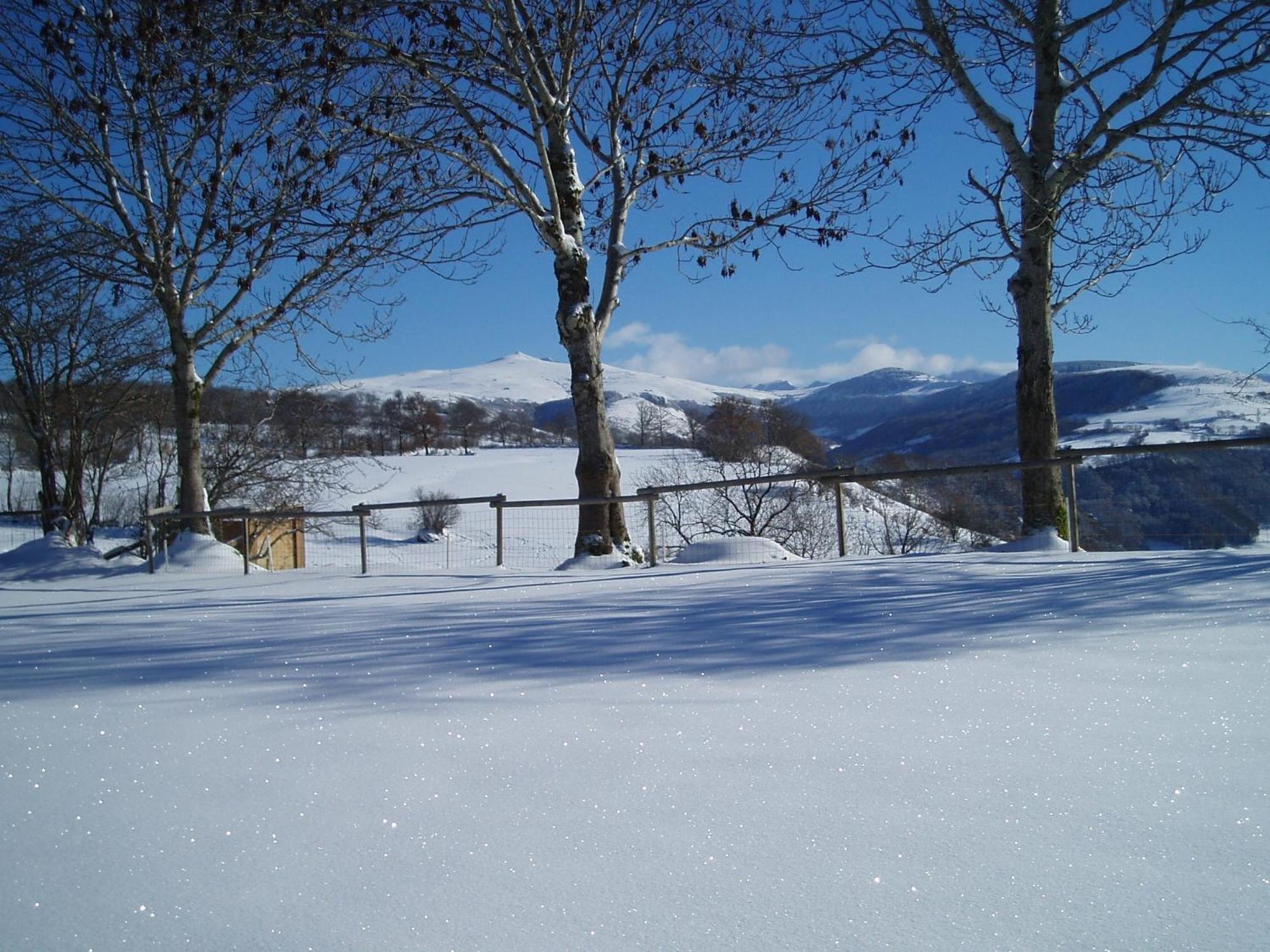 Domaine De La Chaux De Revel Guest House Saint-Martin-Valmeroux Luaran gambar