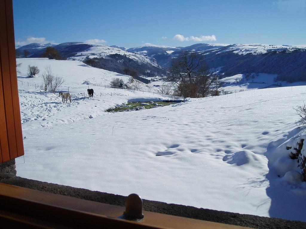 Domaine De La Chaux De Revel Guest House Saint-Martin-Valmeroux Luaran gambar