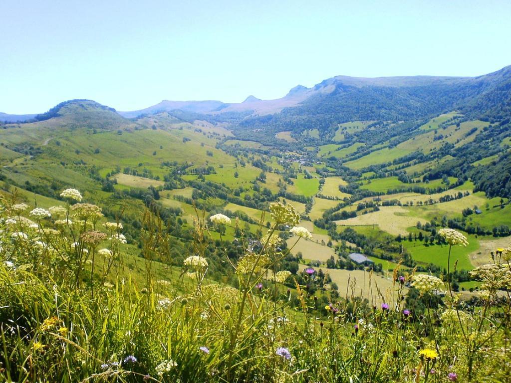 Domaine De La Chaux De Revel Guest House Saint-Martin-Valmeroux Luaran gambar